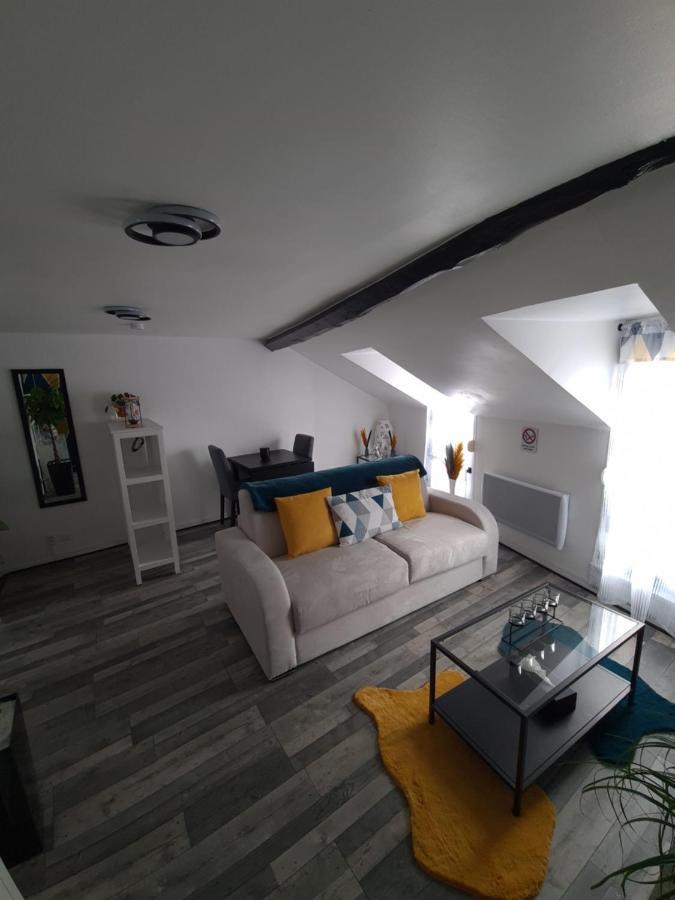 Un Appartement Qui A Du Chien Épernay Exteriör bild